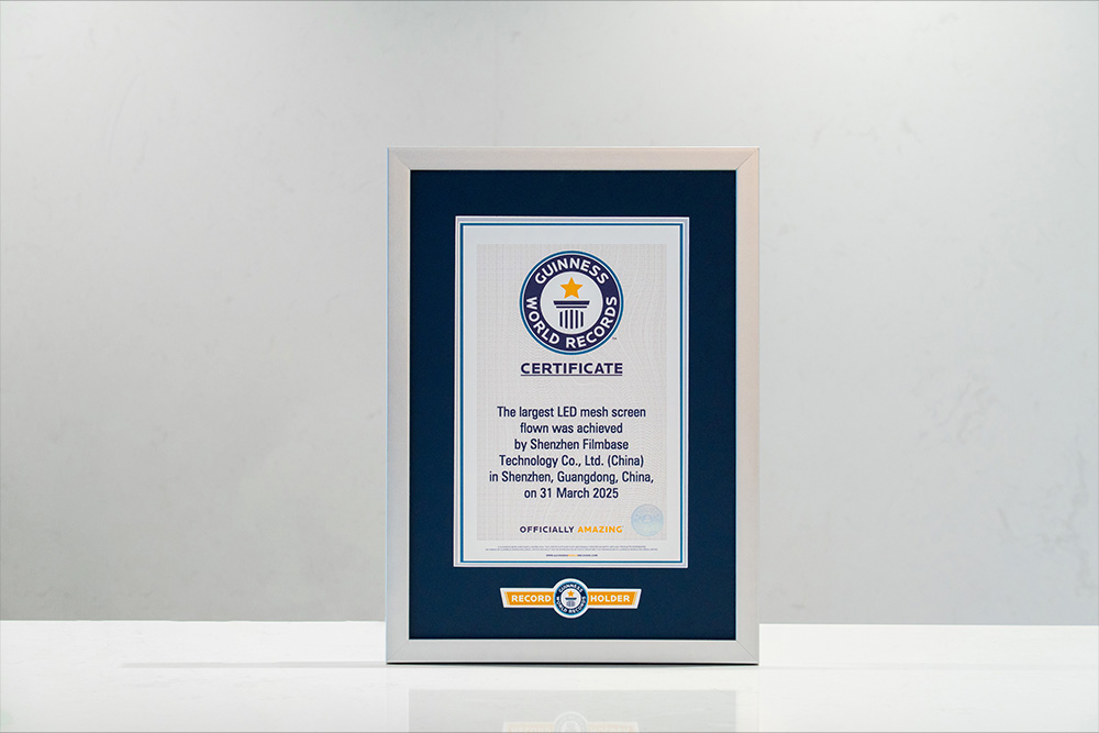 72.66-square-meter flying display Guinness World Records certificate.jpg